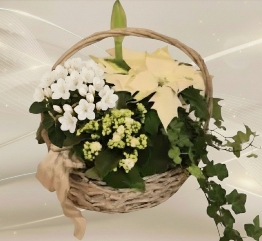 Näyttävä sankakoriasetelma valkoinen tai punainen