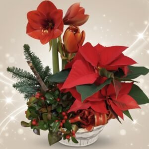 Asetelma perinteinen