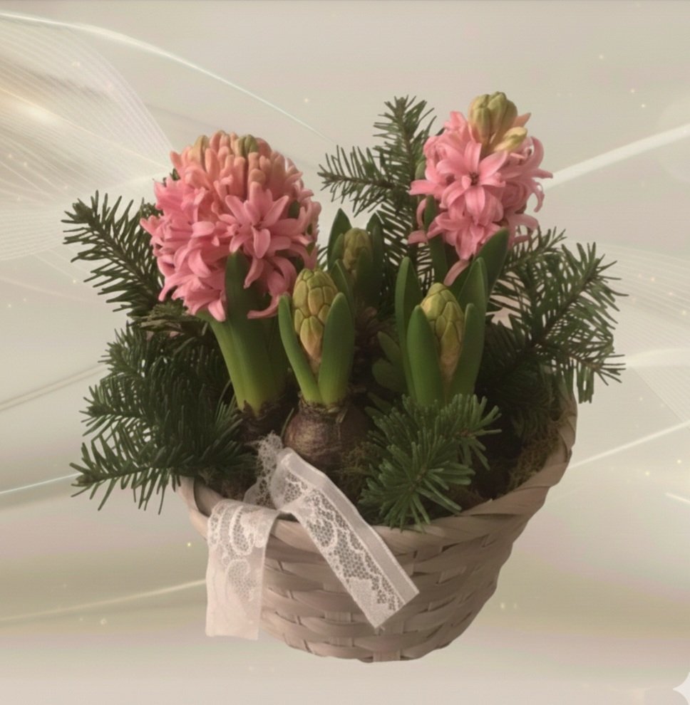 Asetelma hyasinttikori