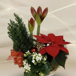 Asetelma aaton aatto