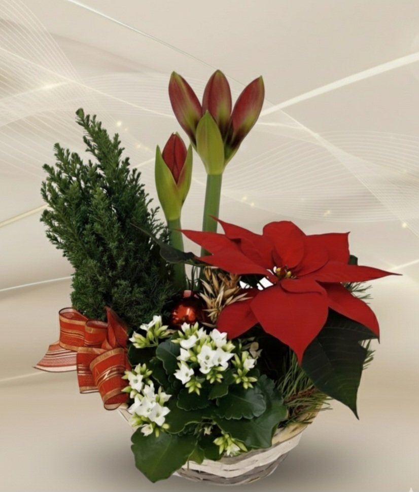 Asetelma aaton aatto